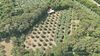 Single house with large plot in Calvagese della Riviera