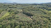 Single house with large plot in Calvagese della Riviera