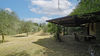 Single house with large plot in Calvagese della Riviera