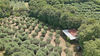 Single house with large plot in Calvagese della Riviera