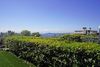 Bright two-room apartment with lake view in the hills of Maderno