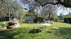 Detached house with garden for sale in Toscolano Maderno