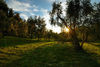 Borgo ai Cipressi – A Corner of Paradise between History and Nature in Toscolano Maderno